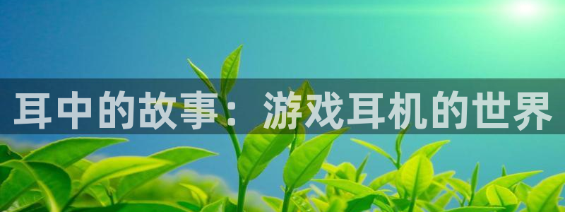 新博怎么登陆